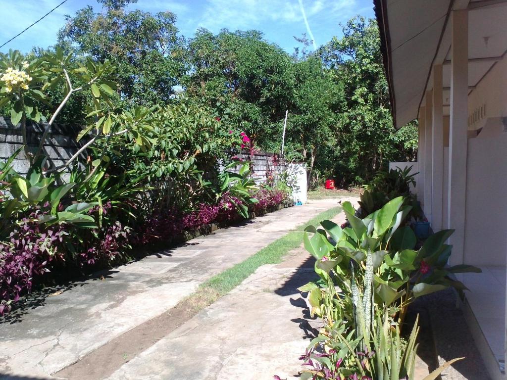 Bali Natural Guest house *