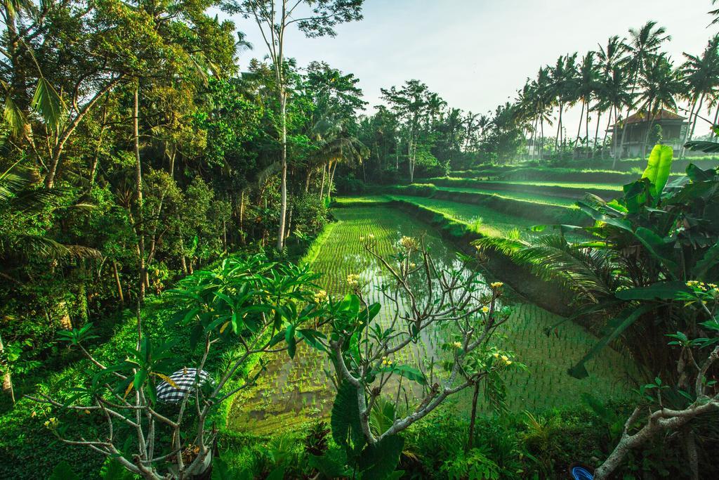 Alam Sembuwuk