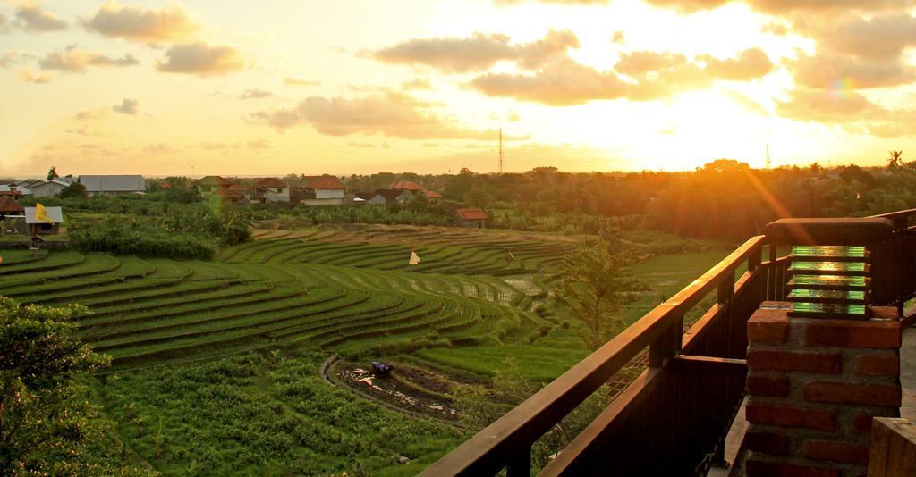 Grandpa Canggu (Bali)