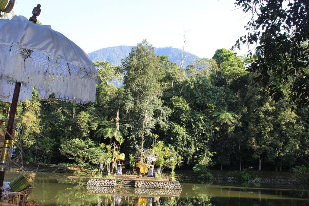 Tegal Jero *