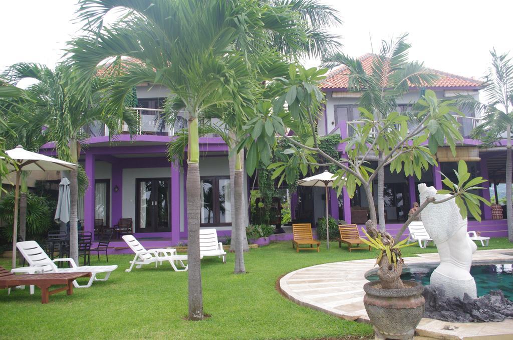 Dolphin Bali 3*