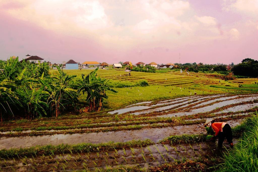 Grandpa Resort Canggu (Bali)