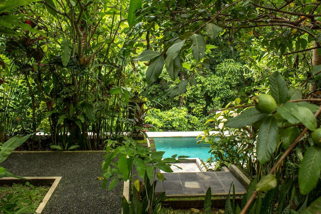 Bismajaya Wisma tamu Ubud (Bali)