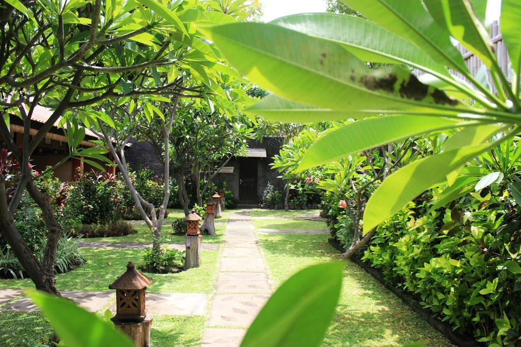Guest house Pondok Shindu Pemuteran (Bali)