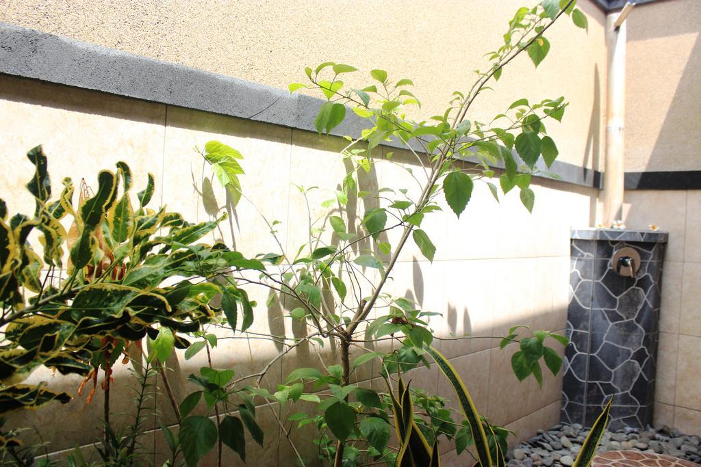 Guest house Pondok Shindu Pemuteran (Bali)