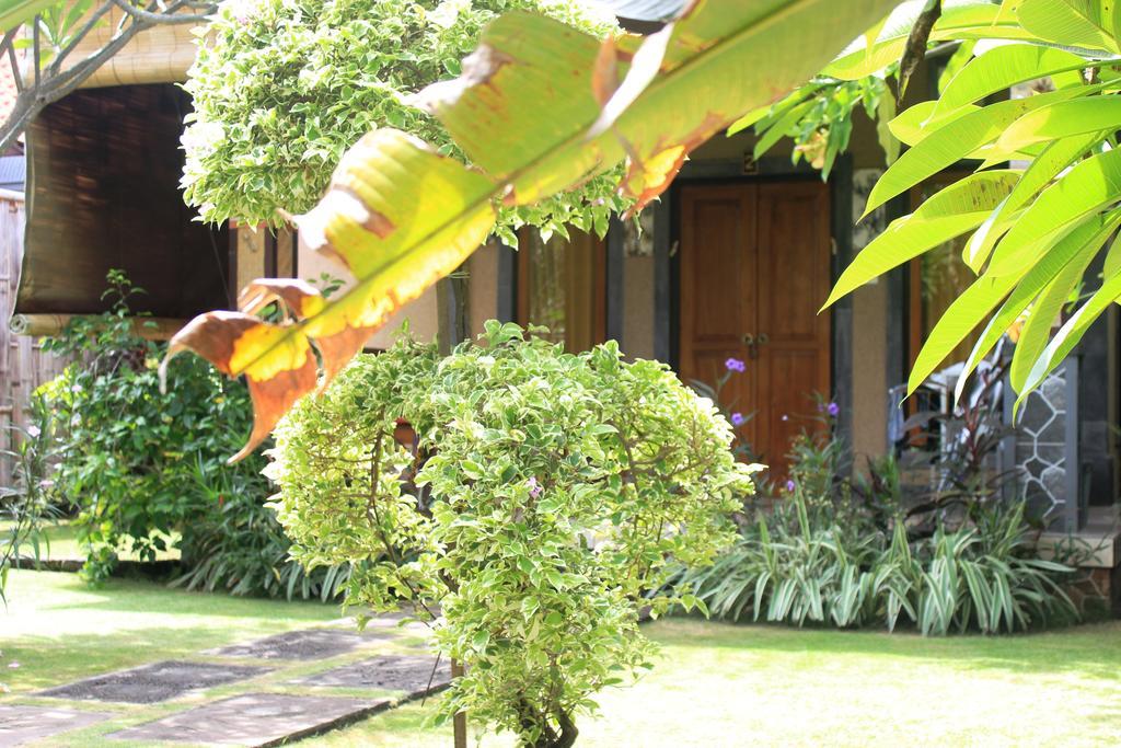 Pondok Shindu Pemuteran (Bali)
