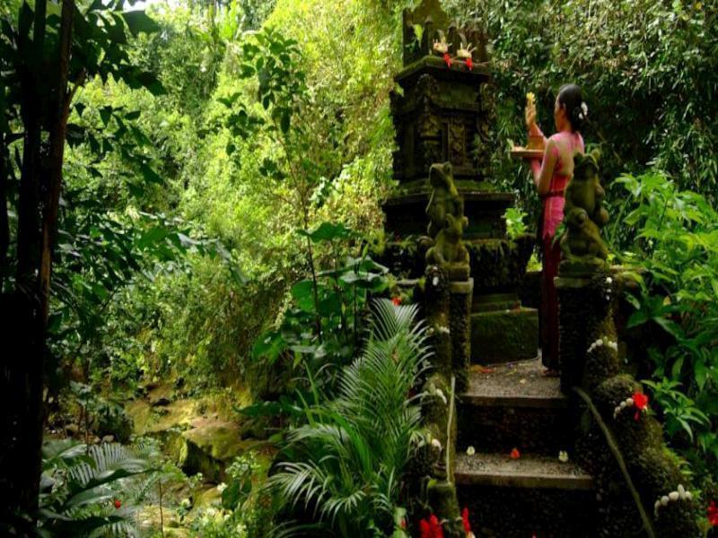 Tjampuhan Spa 4* Ubud (Bali)