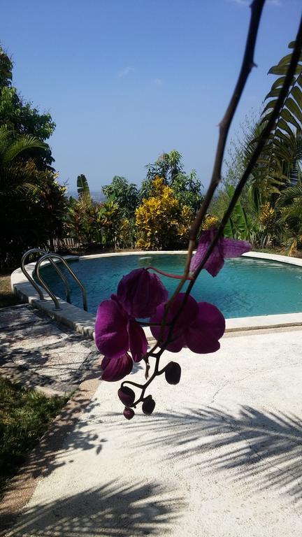 West Bali Villas-umasari Guest house
