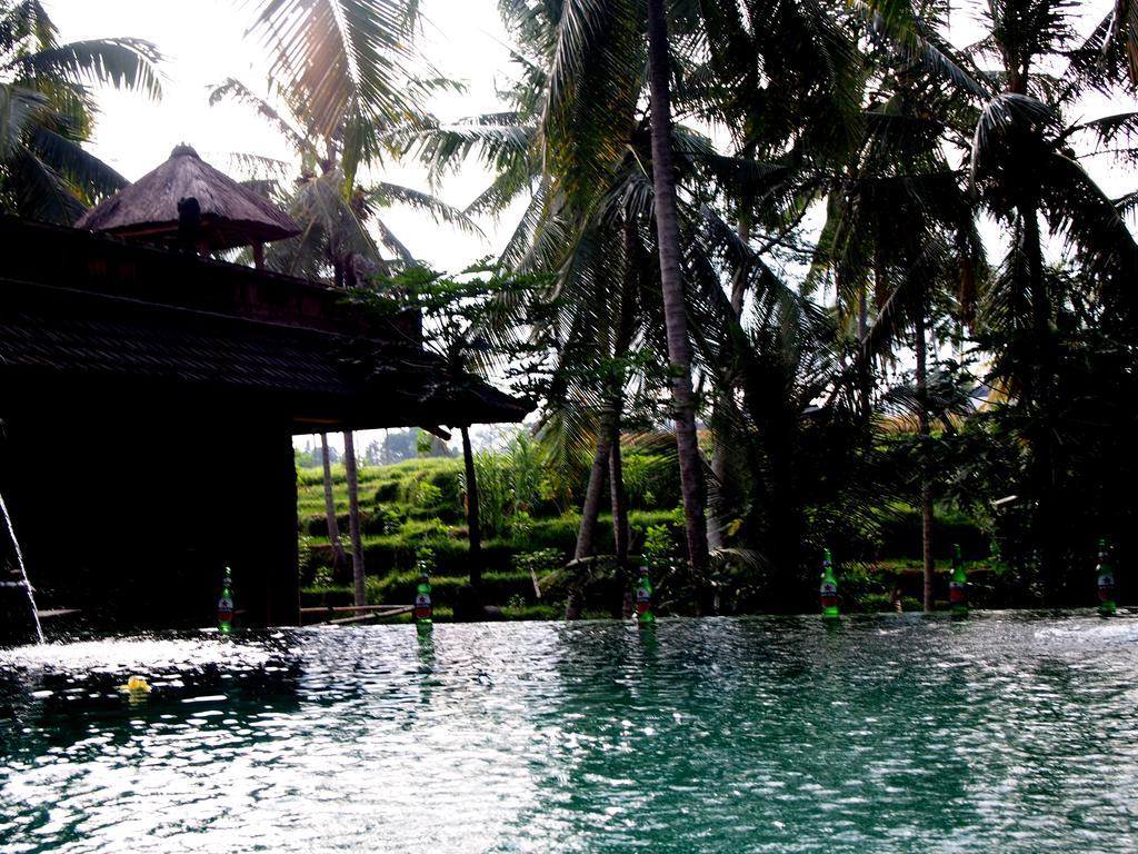 Holiday park Junjungan 3*