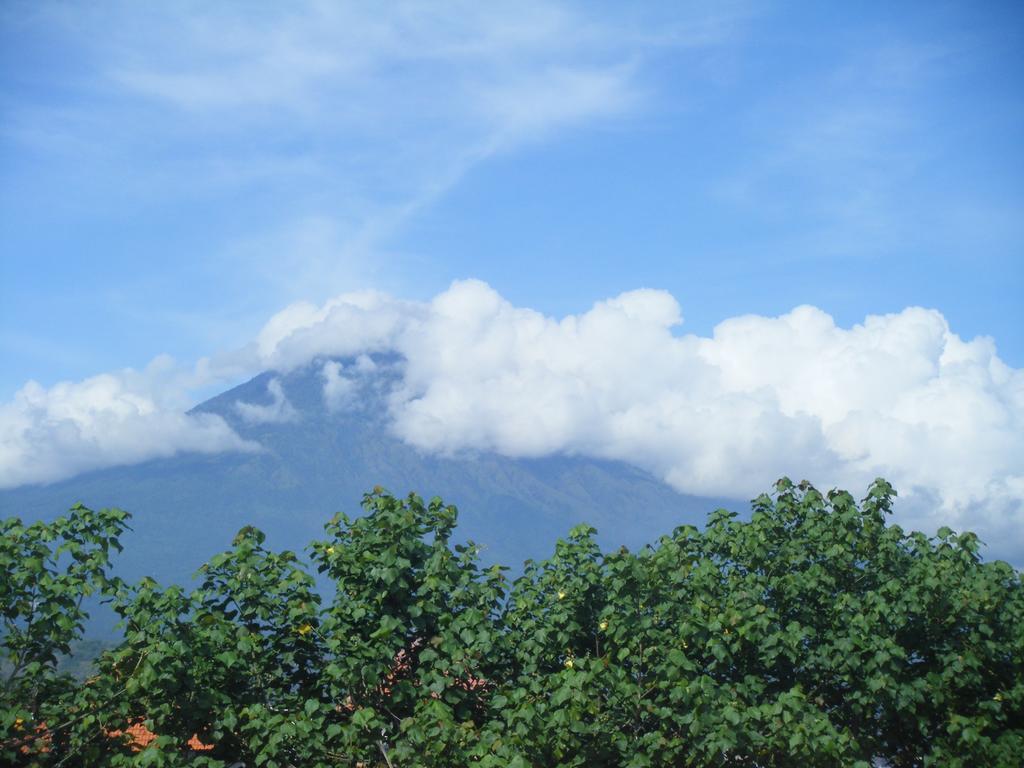 De Adema Guest house