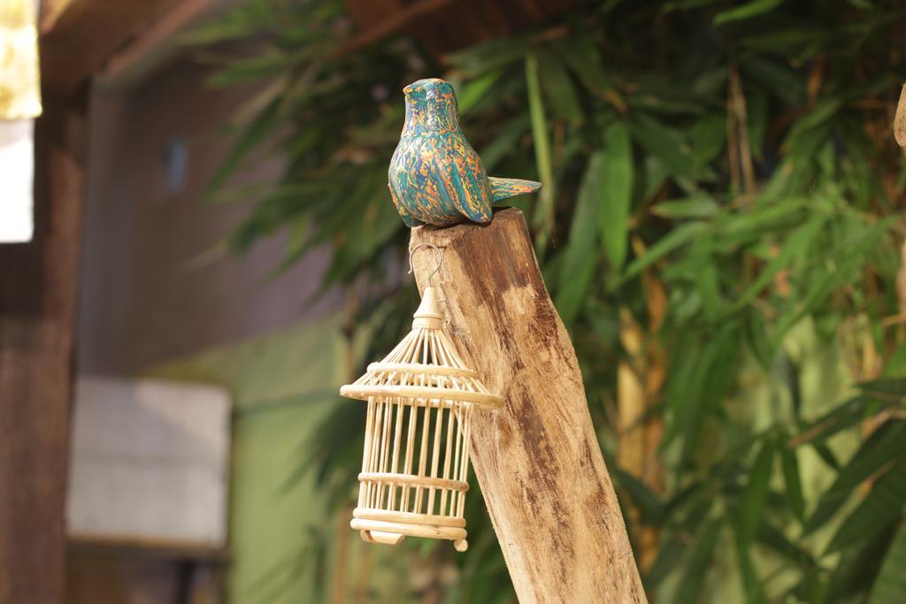 Bird - Chse Certified Taman liburan Ubud (Bali)