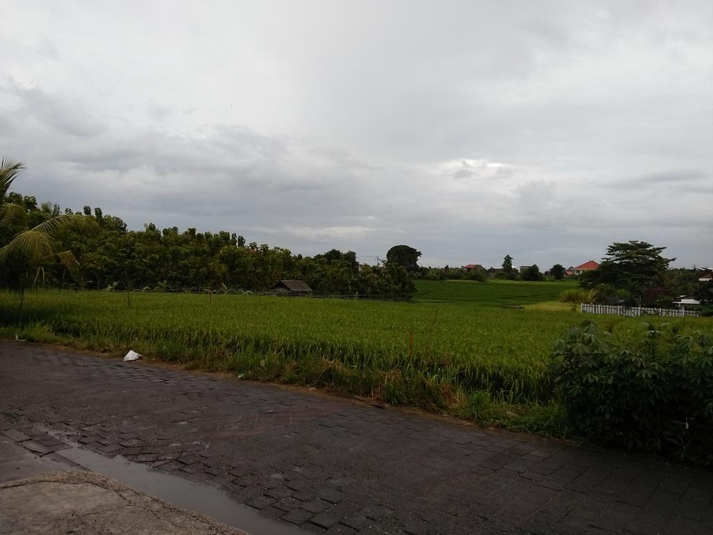The Wina 2 2* Canggu (Bali)