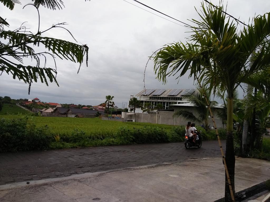 The Wina 2 Canggu (Bali)