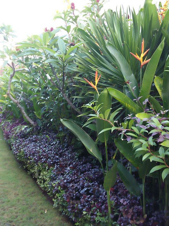 The Wina 2 Guest house Canggu (Bali)
