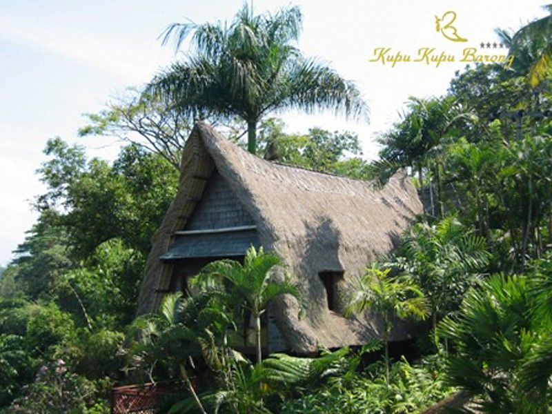 Kupu Kupu Barong And Tree By L'occitane