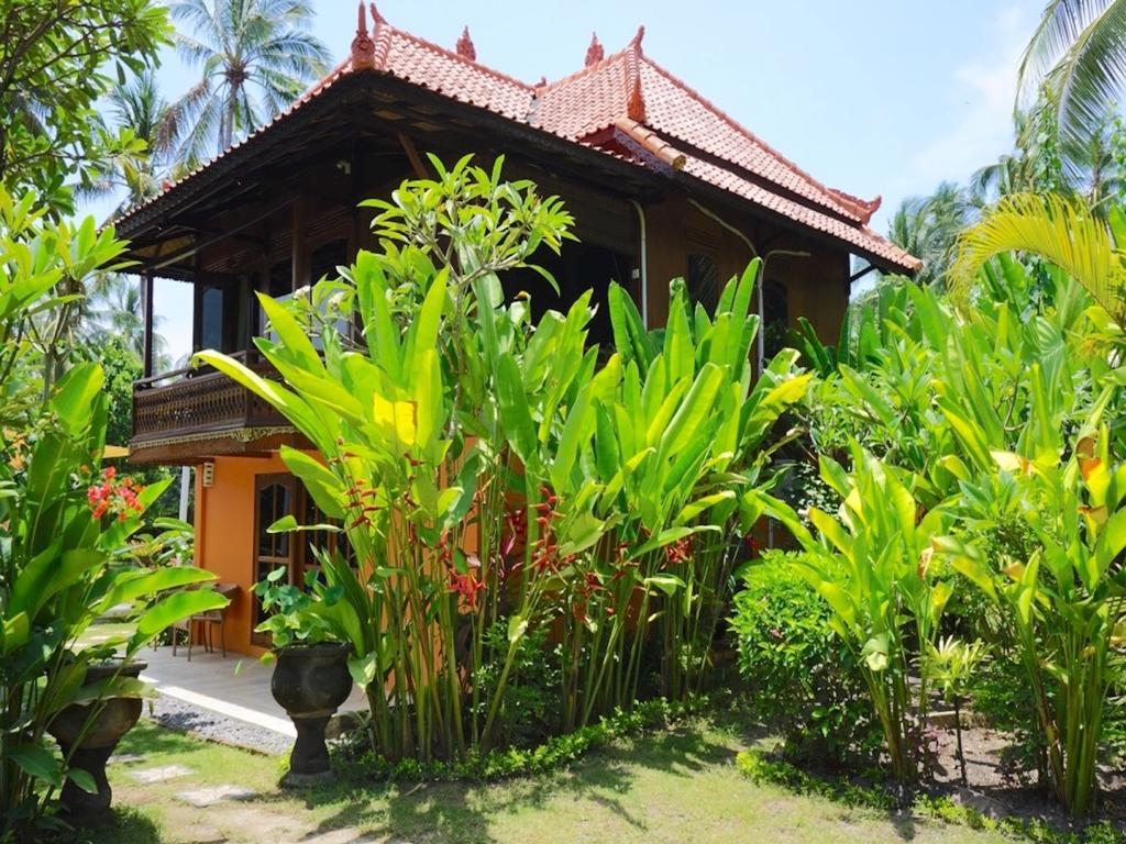 Kura Kura Candi Dasa (Bali)