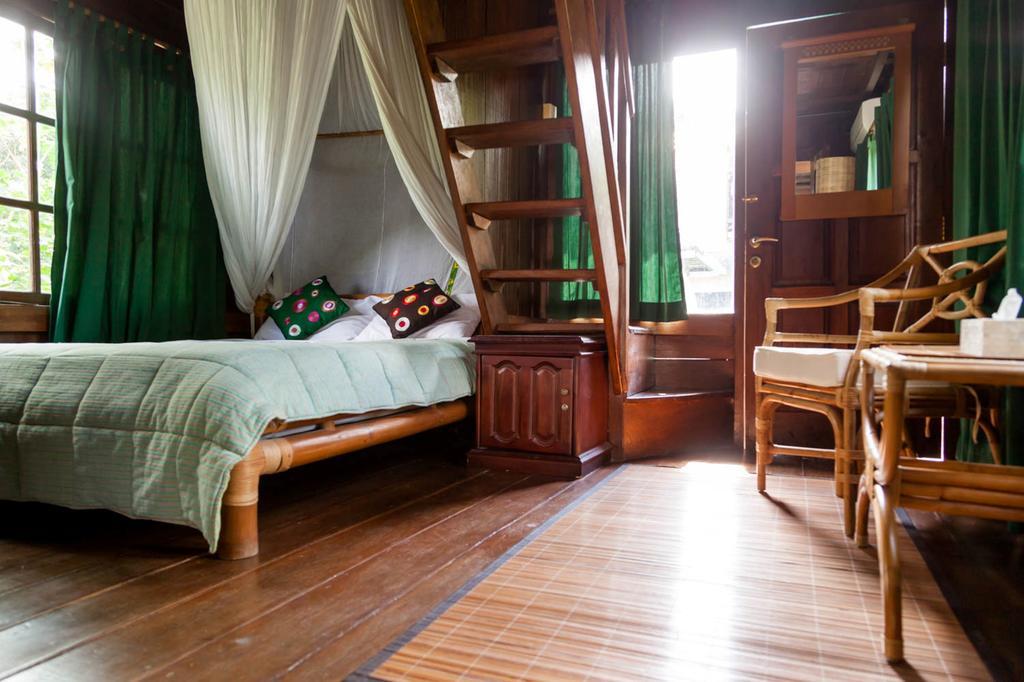 Easy Surf Dacha Holiday park