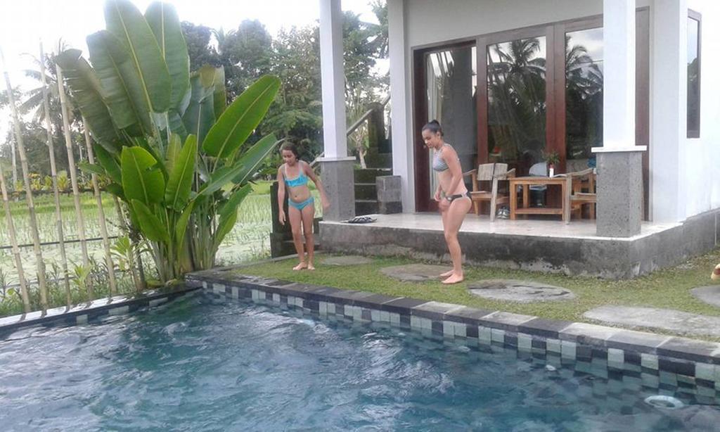Guest house Kemuning