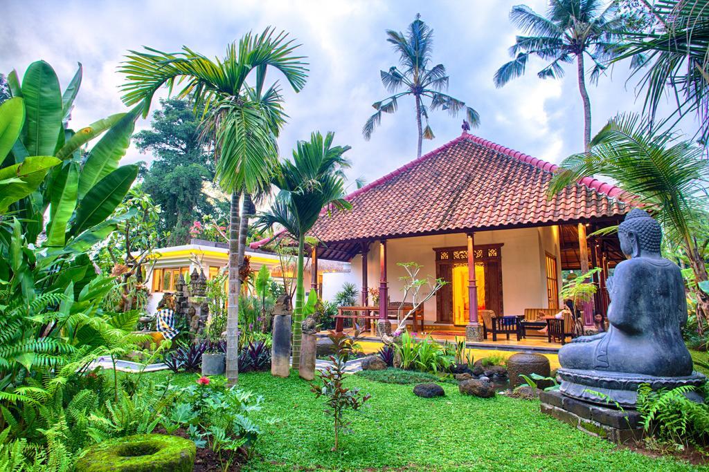 Imagine Bali