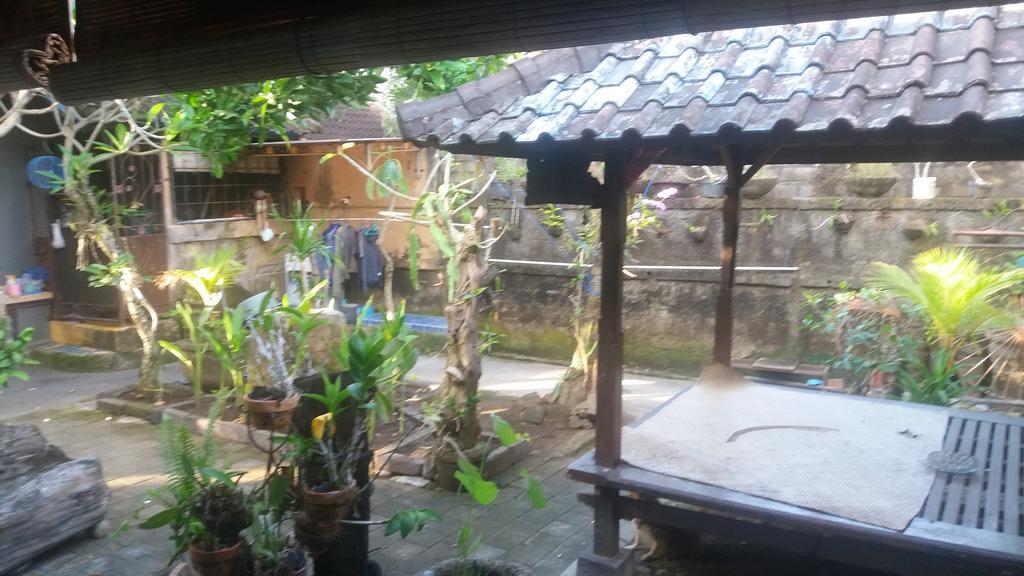 Wisma tamu Mawar Canggu (Bali)