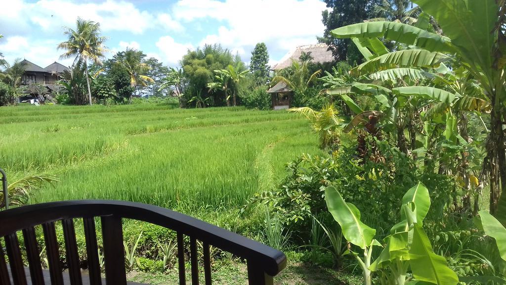 Guest house Khrisna Hs And Sidemen (Bali)