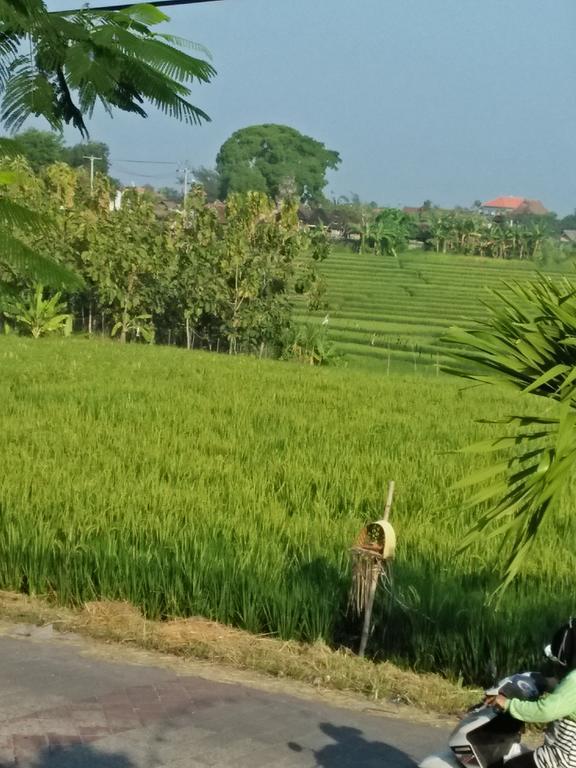 The Wina 2 Canggu (Bali)