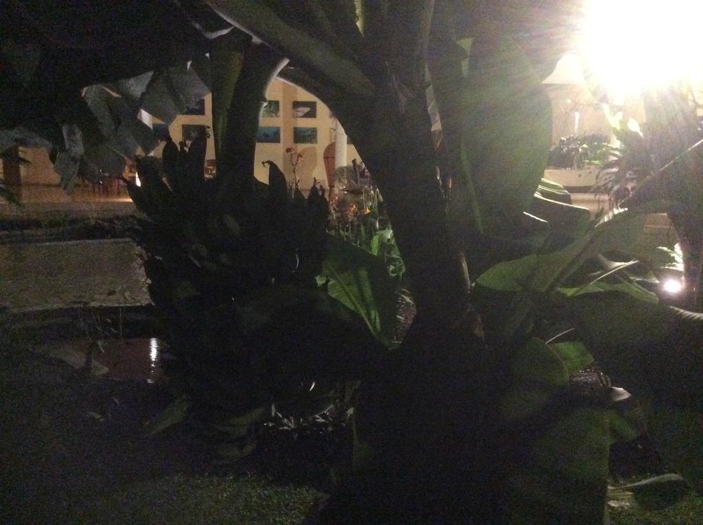 Bed & Breakfast Costa Plenty Sanur (Bali)