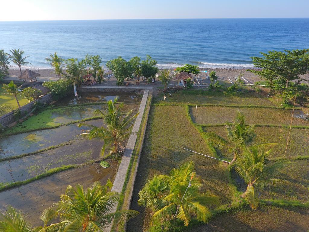 Taman Padi