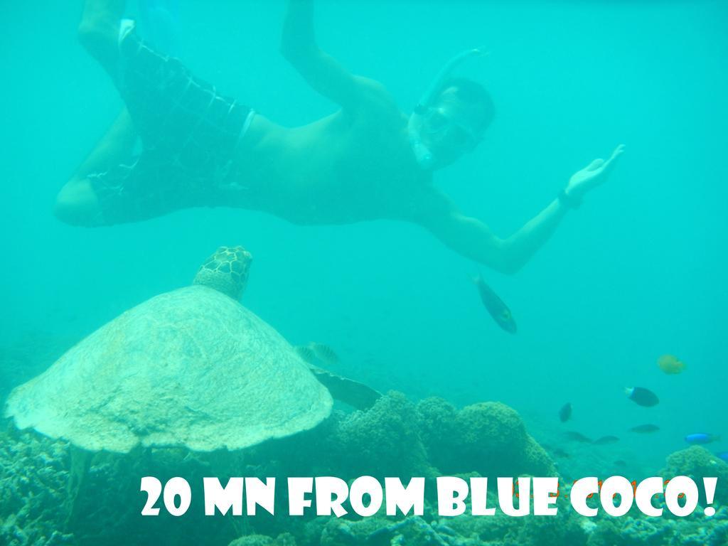 Blue Coco Guest house *