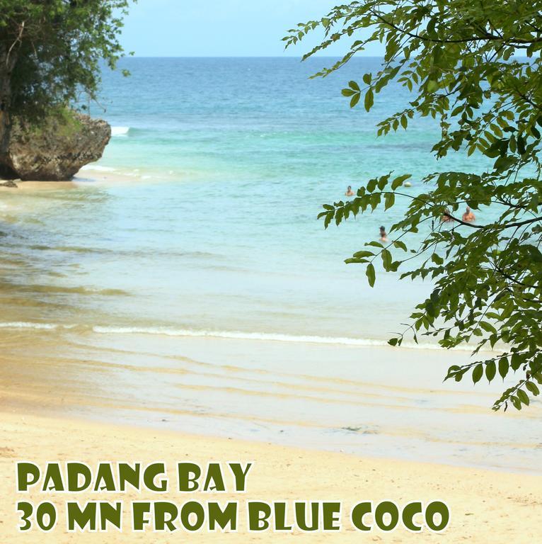 Blue Coco Keramas