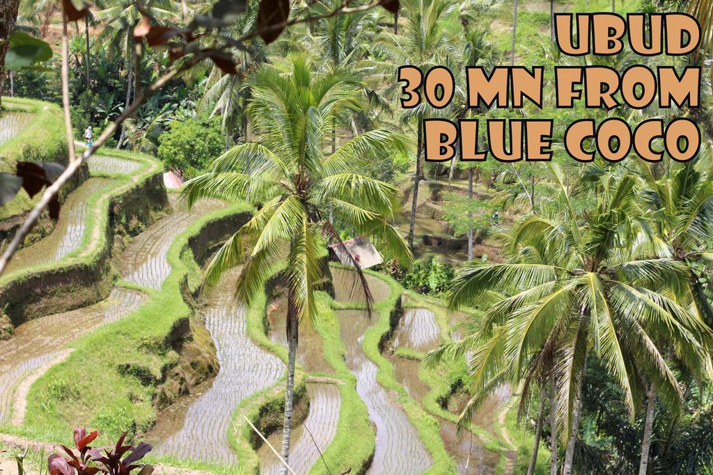 Guest house Blue Coco Keramas