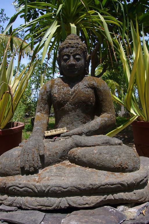 Guest house Jukung Bali Amed (Bali)