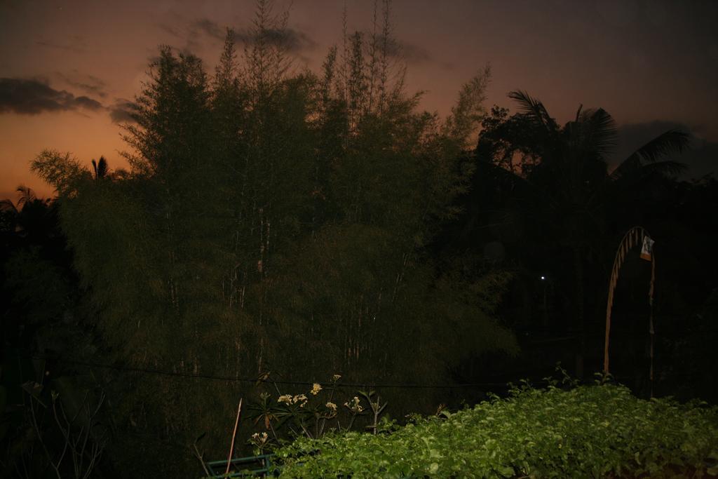 Homestay Taman Asri Ubud (Bali)