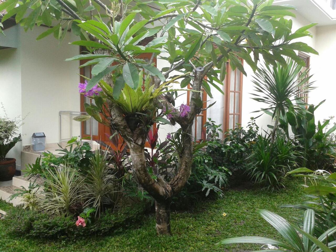 Jepun Bali Homestay Sanur Guest house Sanur (Bali)