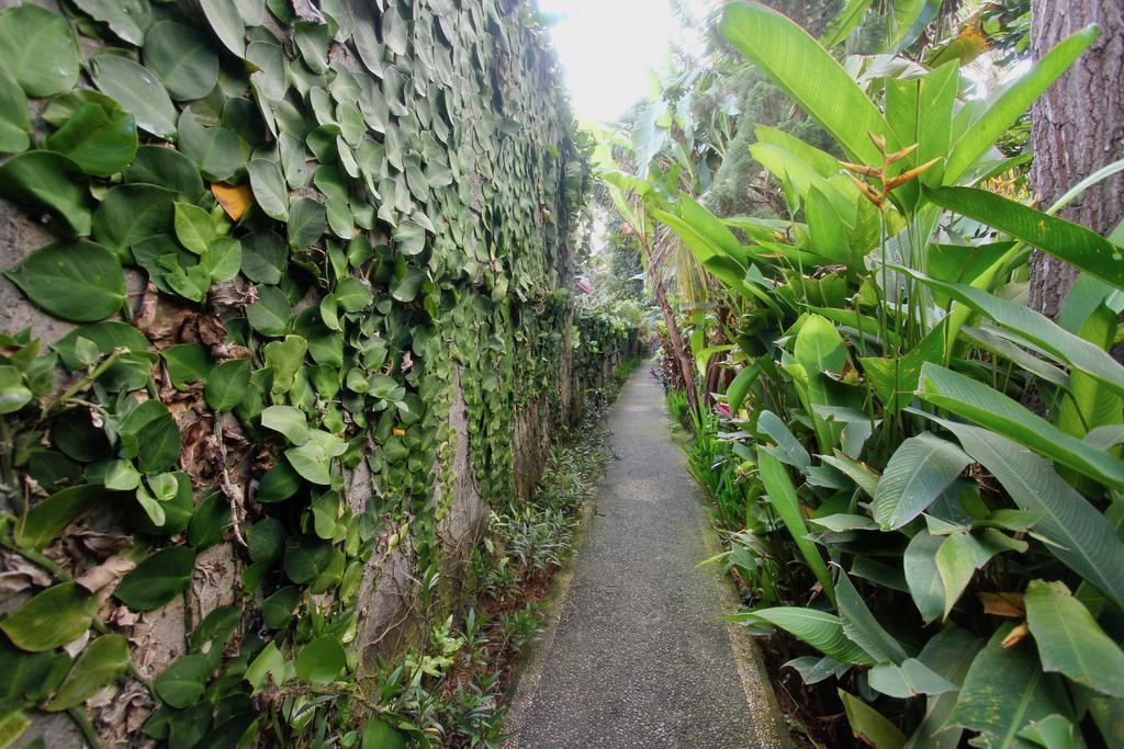 Guest house Rahayu House Ubud (Bali)