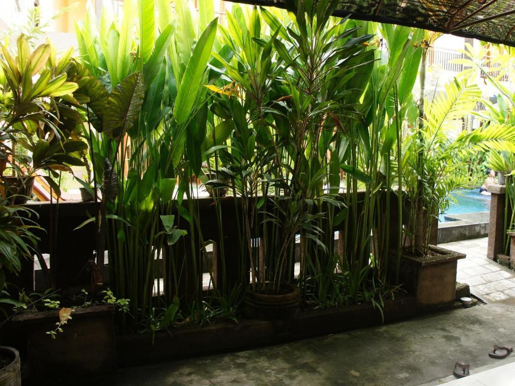 Guest house Waringin Homestay 3*