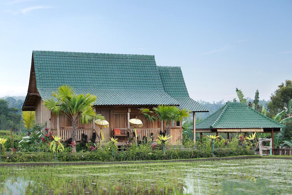Ti Amo Bali