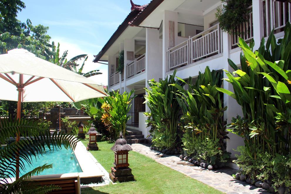 Papaya Guest house 3*