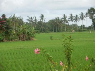 Taman liburan Terang Bulan