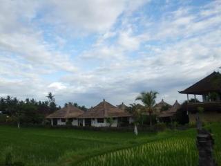 Terang Bulan 2* Ubud (Bali)