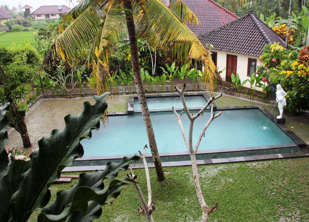 Nyoman Sandi Ubud (Bali)