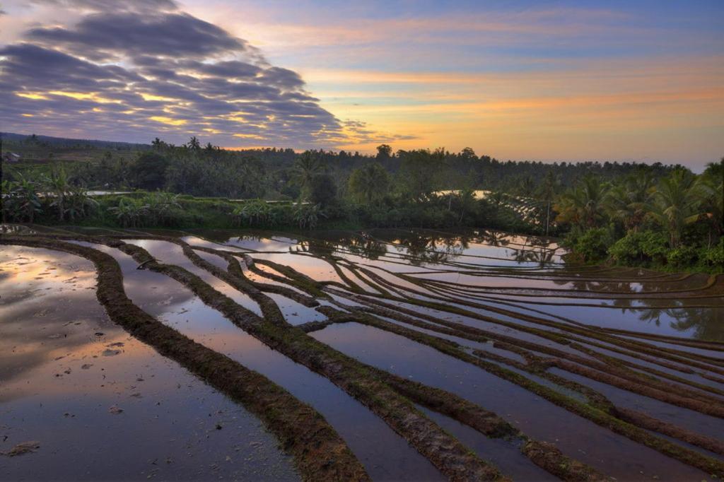 Cempaka Belimbing 4* Blimbing (Bali)