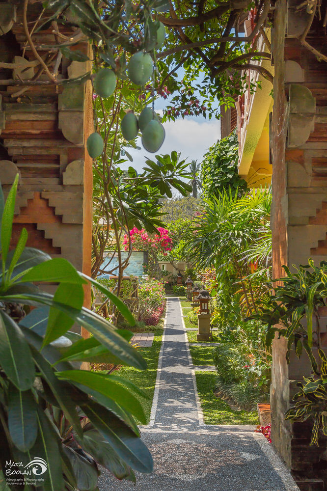 Rama Shinta 3* Candi Dasa (Bali)