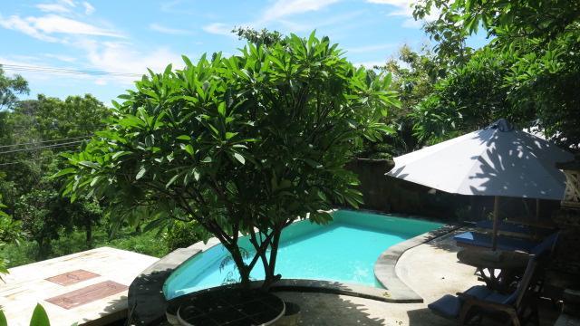 Pt Putra Momongan Menyelam Scuba Wisma tamu 2*