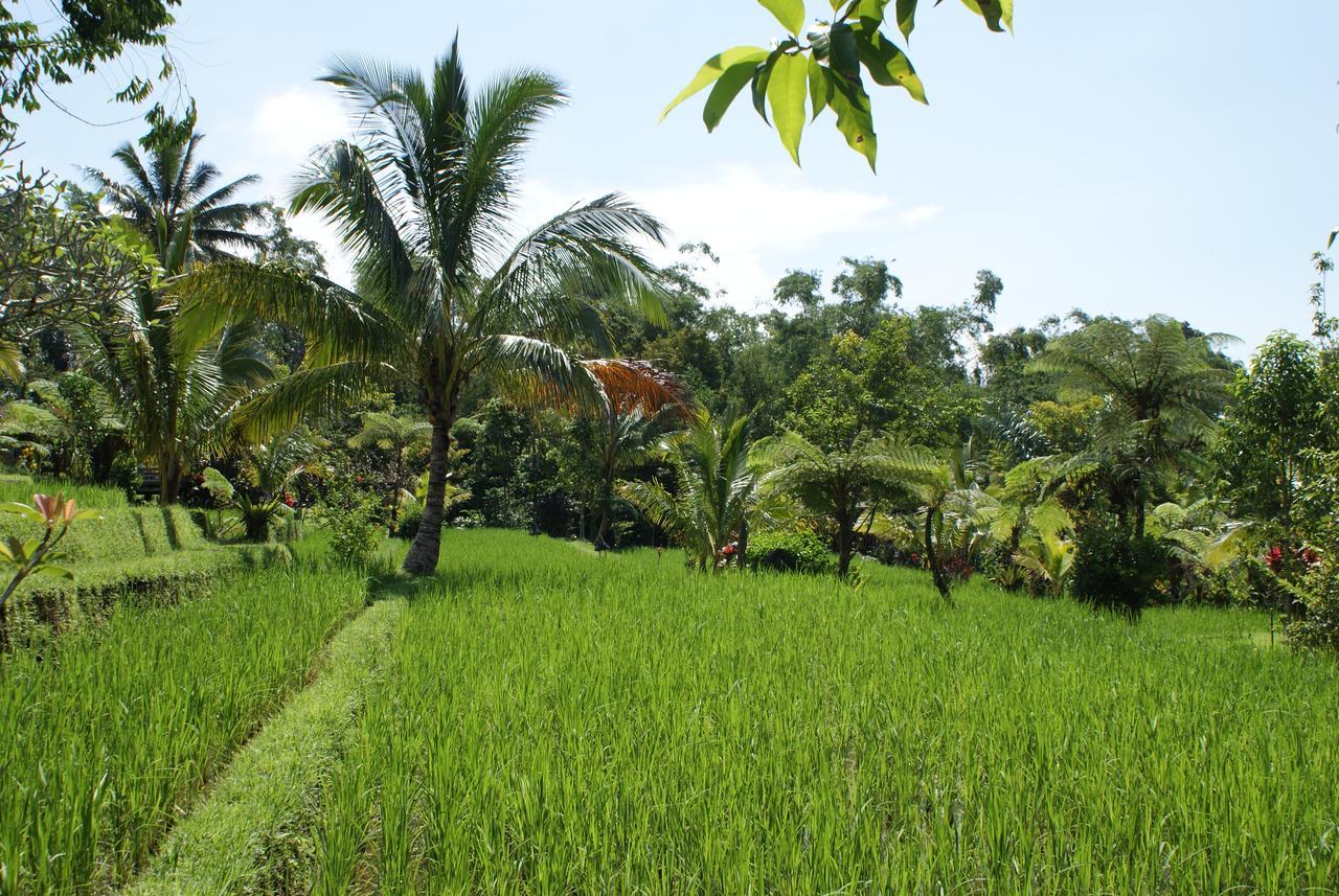 Resort Prana Dewi Mountain Jatiluwih