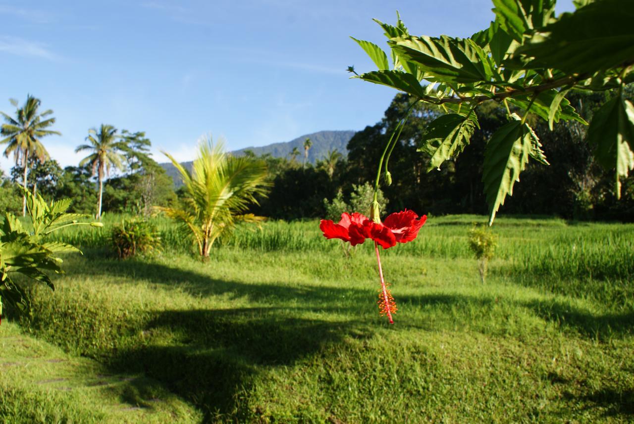 Prana Dewi Mountain 4* Jatiluwih