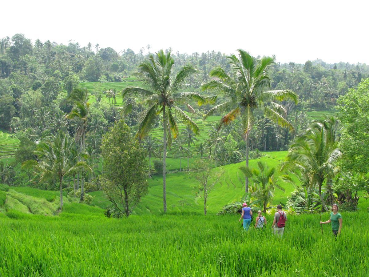 Prana Dewi Mountain Resort