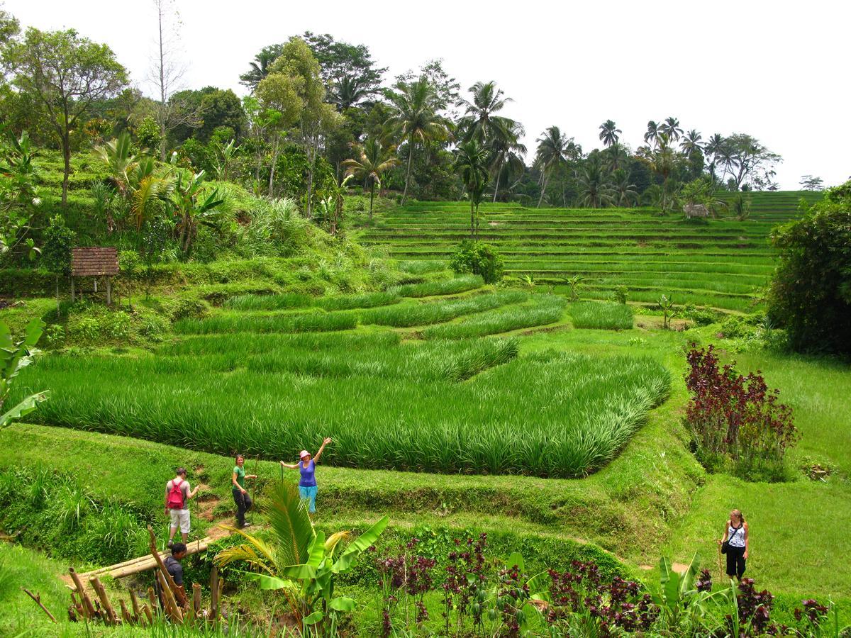Resort Prana Dewi Mountain 4*