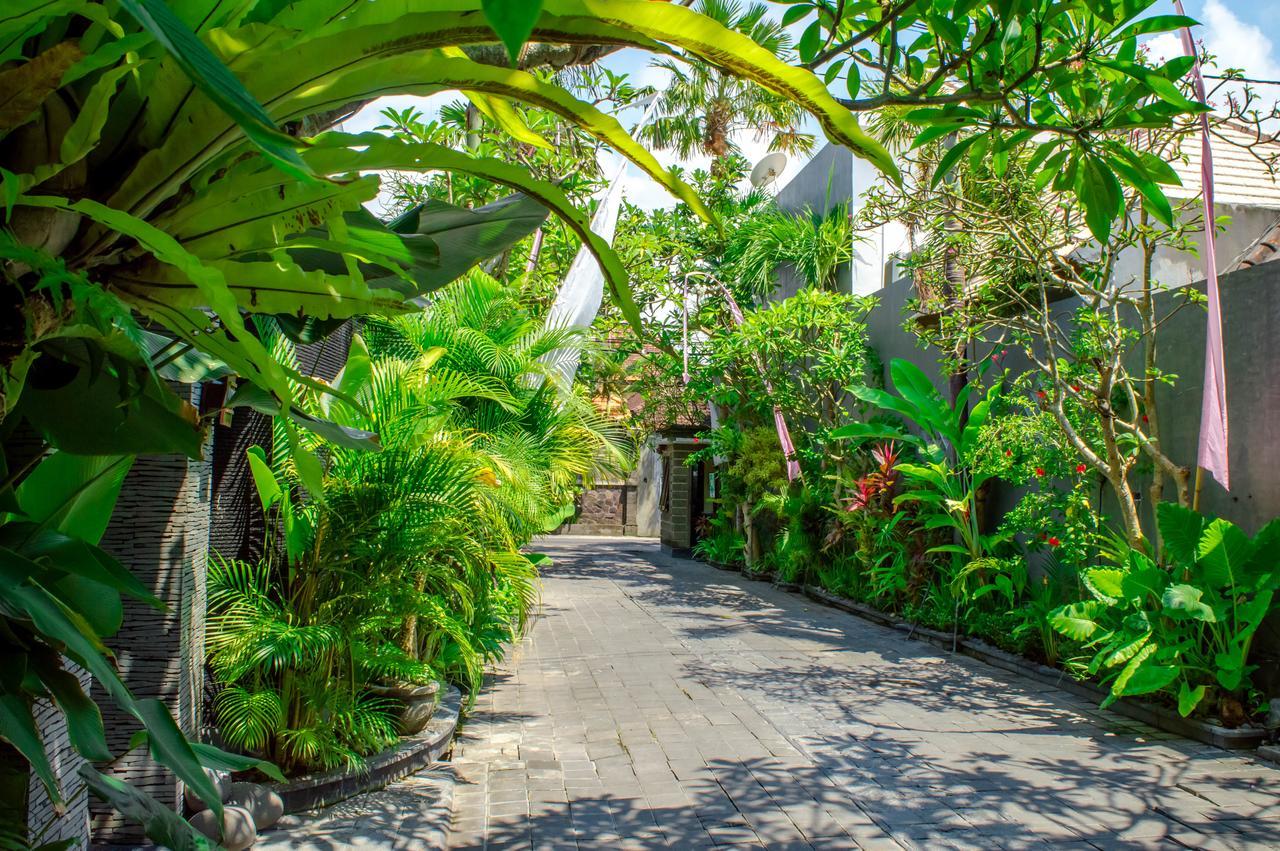 The Bali Dream *