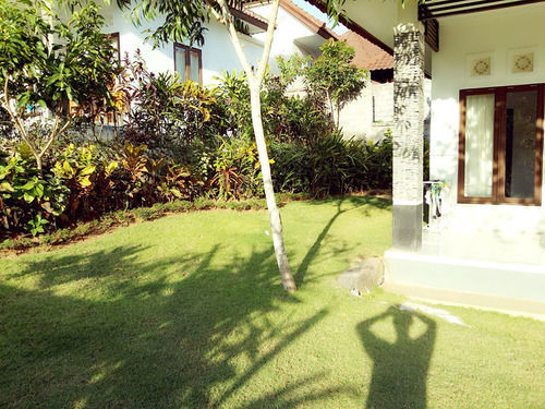 Guest house Bingin Family